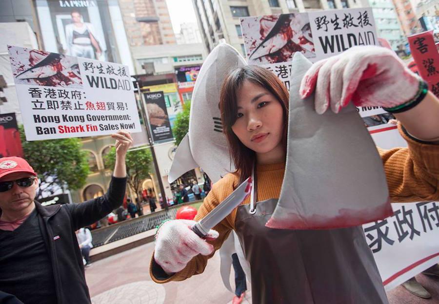 WildAid Hong Kong-Shark Fin Protest